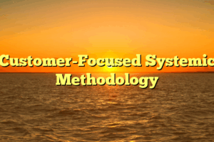 Customer-Focused Systemic Methodology