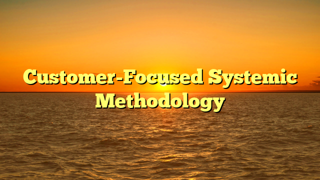 Customer-Focused Systemic Methodology