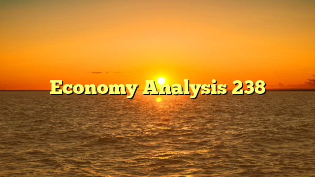 Economy Analysis 238