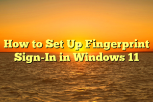 How to Set Up Fingerprint Sign-In in Windows 11